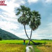 All Thing you need to know before travelling to Tay Ninh