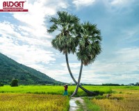 All Thing you need to know before travelling to Tay Ninh