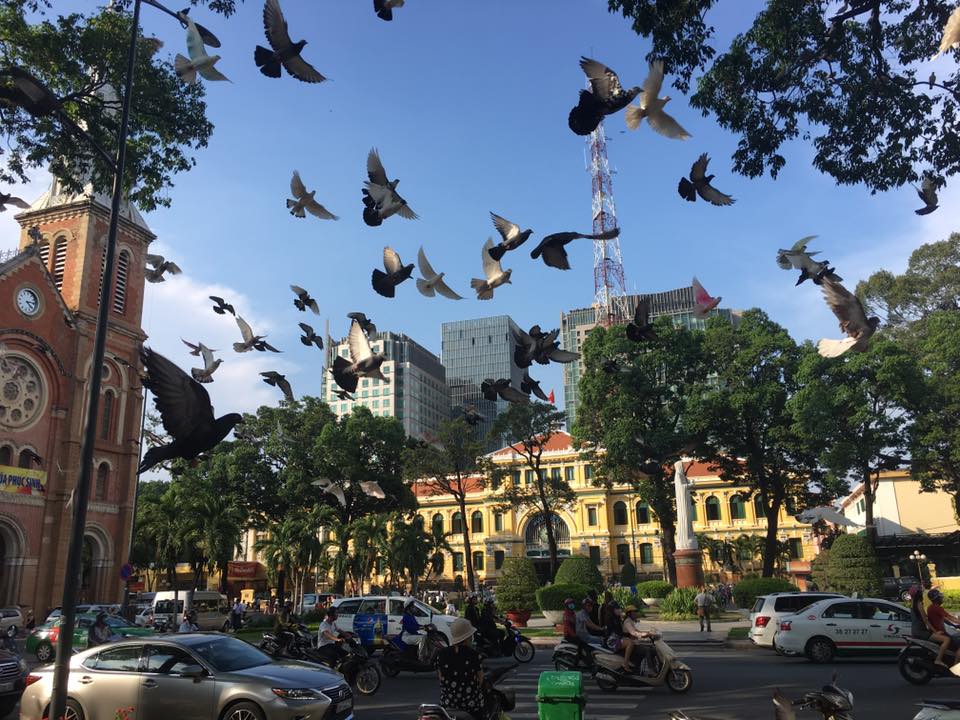 Budget Rent A Car With Driver in Ho Chi Minh