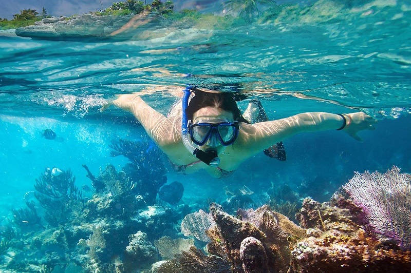 Snorkeling to Admire Coral Reefs and Lovely Fish