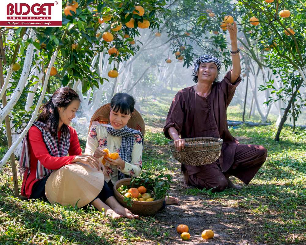 fruit-garden-in-Binh-Duong