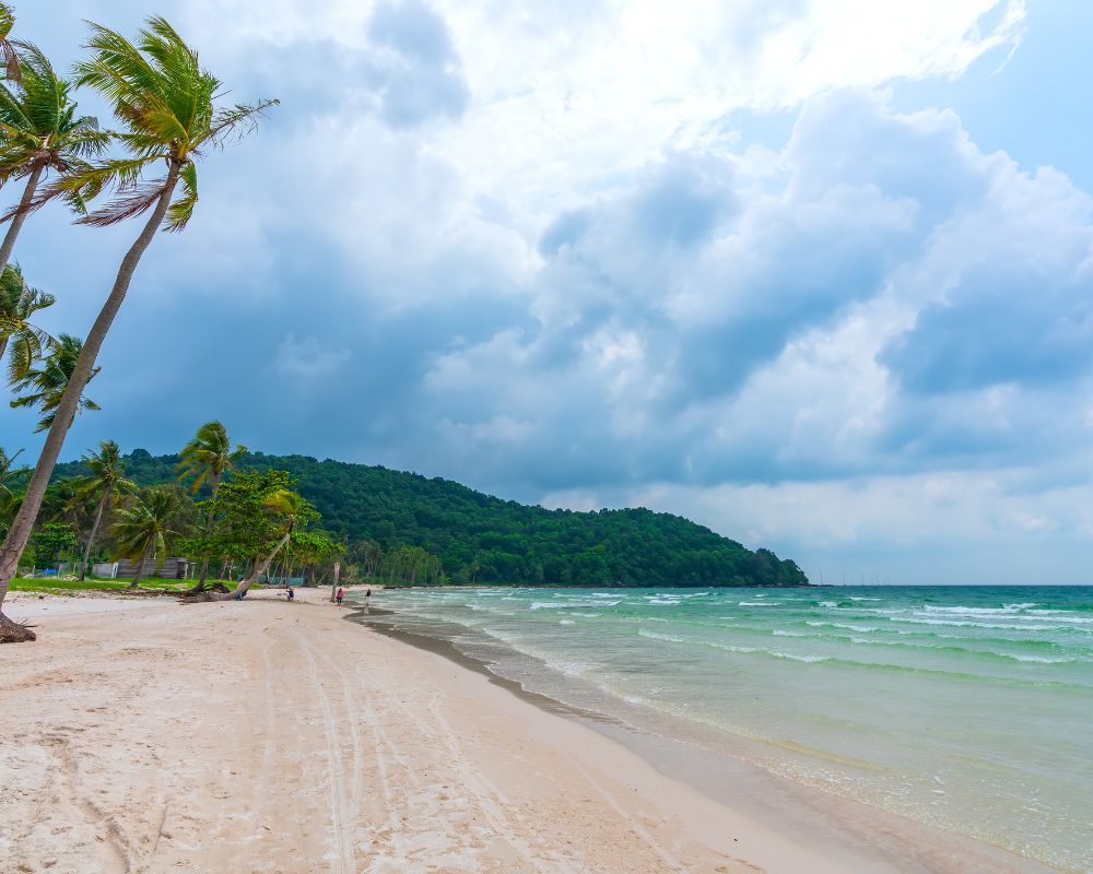 Seascape with tropical palms on beautiful Sao sandy beach in Phu Quoc island