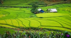 sapa vietnam travel guide