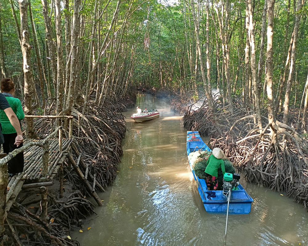 Nam-Can-Mangrove-Forest
