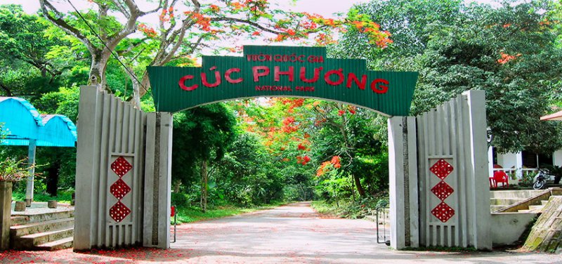 Cuc-Phuong-National-Park