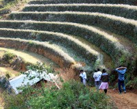 The Ultimate Guide to Mu Cang Chai, Vietnam