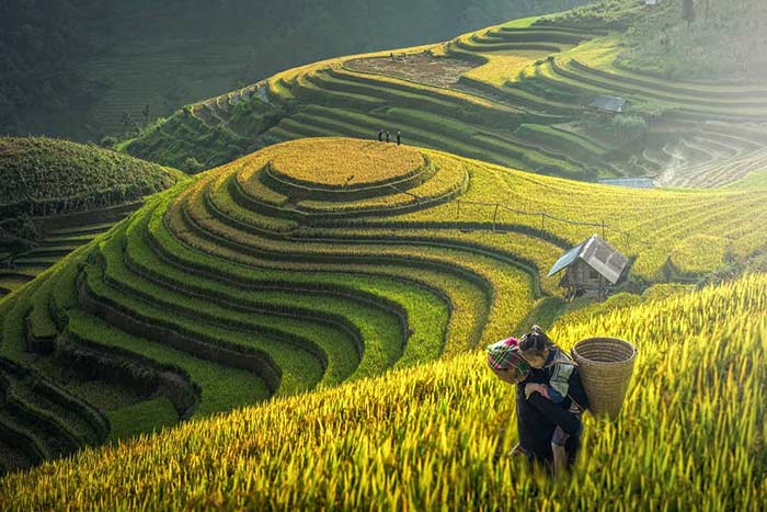 Top-18-Tourist-Attractions-in-Vietnam-8