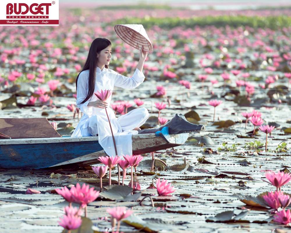 lotus-fields-in-Dong-Thap