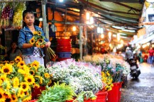Must See Ho Thi Ky Flower Market in Ho Chi Minh City